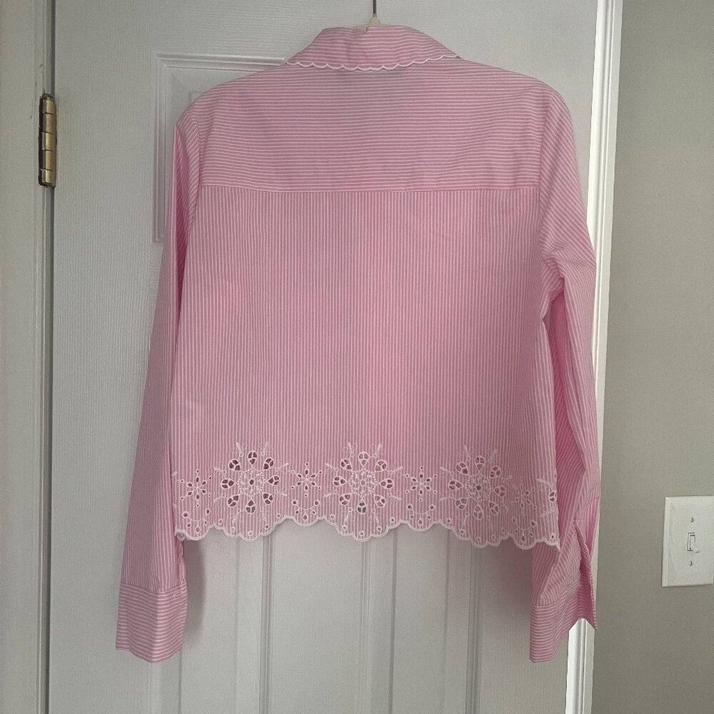 ZARA Pink Striped Eyelet Lace Collar Button-Down Shirt | Size S - Picture 3 of 5